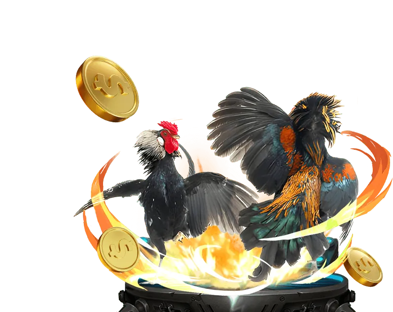 Cá cược Thể thao Xin88